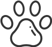 Animal See More- FR