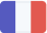 flagIcons.svg 3 See More- FR