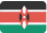 flagIcons.svg 6 See More- FR